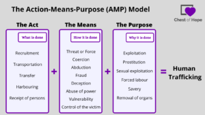 Action-Means-Purpose Model